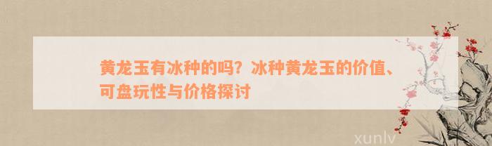 黄龙玉有冰种的吗？冰种黄龙玉的价值、可盘玩性与价格探讨