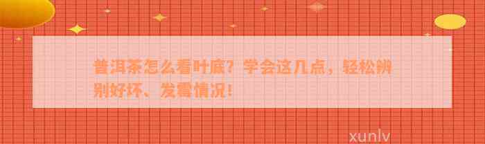 普洱茶怎么看叶底？学会这几点，轻松辨别好坏、发霉情况！