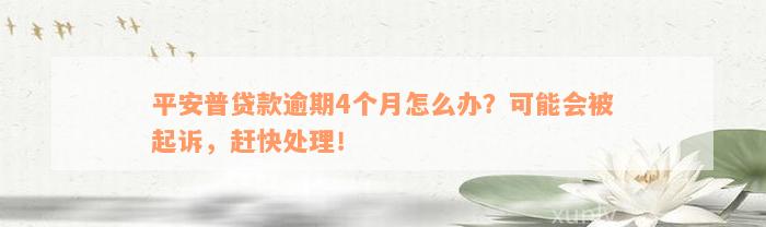 平安普贷款逾期4个月怎么办？可能会被起诉，赶快处理！