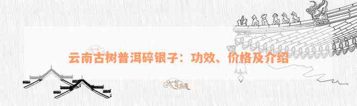 云南古树普洱碎银子：功效、价格及介绍