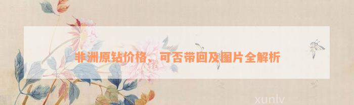 非洲原钻价格、可否带回及图片全解析