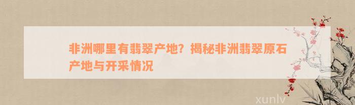 非洲哪里有翡翠产地？揭秘非洲翡翠原石产地与开采情况