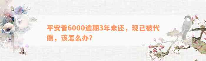 平安普6000逾期3年未还，现已被代偿，该怎么办？