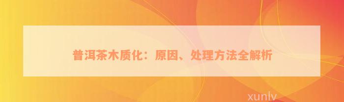 普洱茶木质化：原因、处理方法全解析