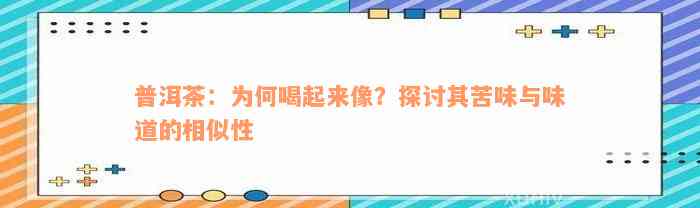 普洱茶：为何喝起来像？探讨其苦味与味道的相似性