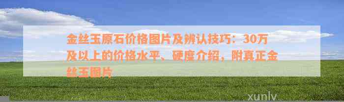 金丝玉原石价格图片及辨认技巧：30万及以上的价格水平、硬度介绍，附真正金丝玉图片