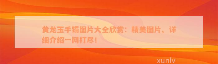 黄龙玉手镯图片大全欣赏：精美图片、详细介绍一网打尽！