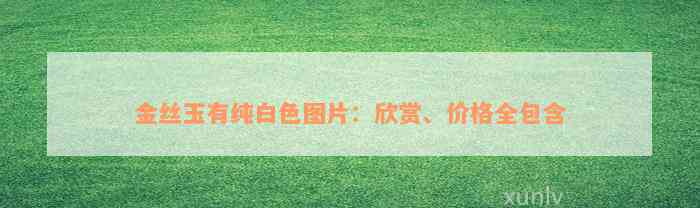 金丝玉有纯白色图片：欣赏、价格全包含