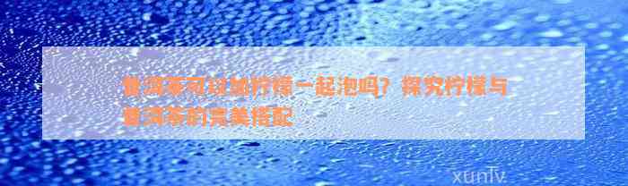 普洱茶可以加柠檬一起泡吗？探究柠檬与普洱茶的完美搭配