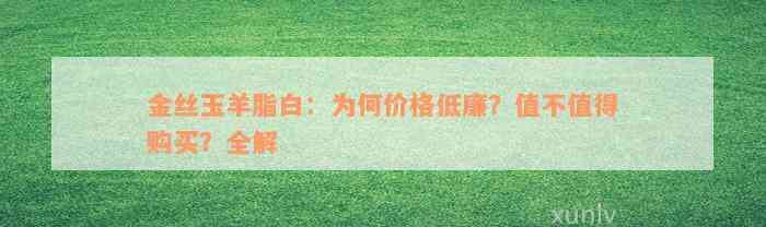 金丝玉羊脂白：为何价格低廉？值不值得购买？全解