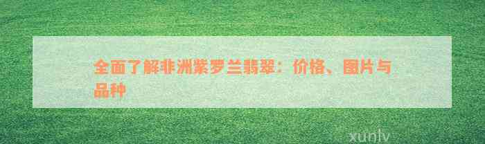 全面了解非洲紫罗兰翡翠：价格、图片与品种