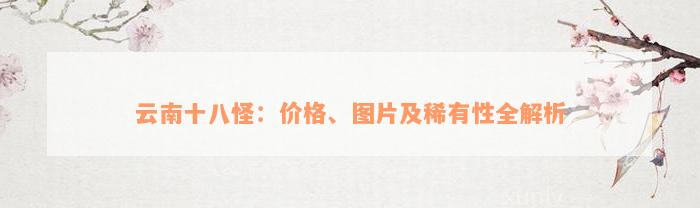 云南十八怪：价格、图片及稀有性全解析