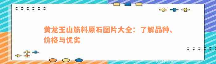 黄龙玉山筋料原石图片大全：了解品种、价格与优劣