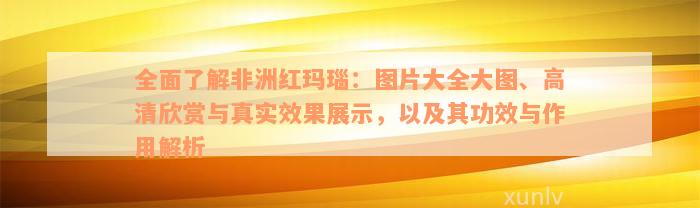 全面了解非洲红玛瑙：图片大全大图、高清欣赏与真实效果展示，以及其功效与作用解析