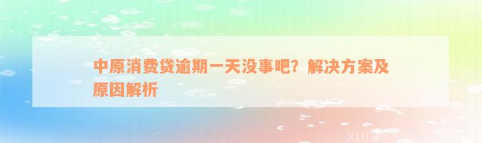 中原消费贷逾期一天没事吧？解决方案及原因解析