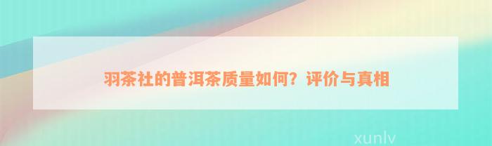 羽茶社的普洱茶质量如何？评价与真相