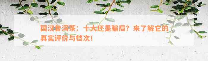 国汉普洱茶：十大还是骗局？来了解它的真实评价与档次！