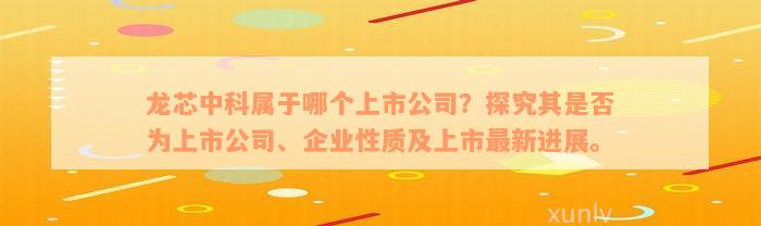 龙芯中科属于哪个上市公司？探究其是否为上市公司、企业性质及上市最新进展。