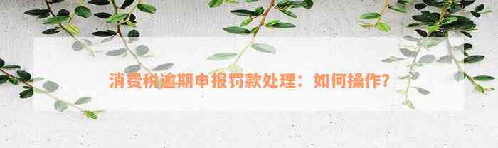 消费税逾期申报罚款处理：如何操作？