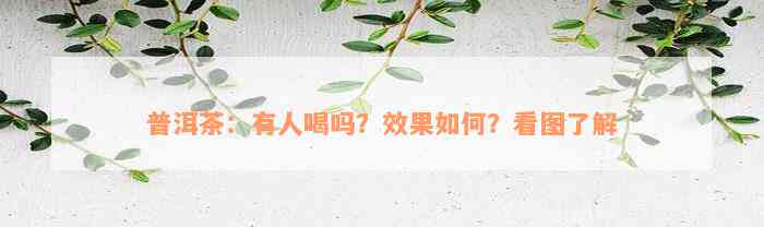 普洱茶：有人喝吗？效果如何？看图了解