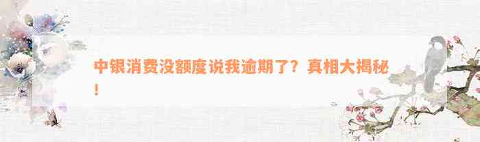 中银消费没额度说我逾期了？真相大揭秘！