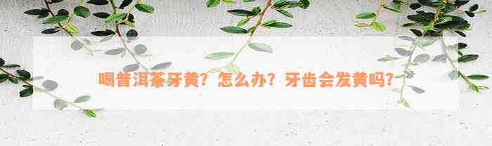 喝普洱茶牙黄？怎么办？牙齿会发黄吗？