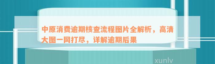 中原消费逾期核查流程图片全解析，高清大图一网打尽，详解逾期后果