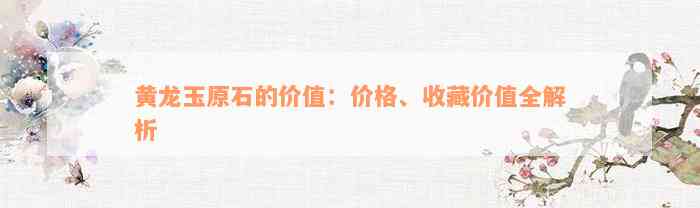 黄龙玉原石的价值：价格、收藏价值全解析