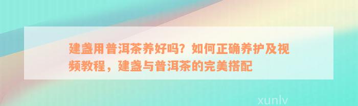 建盏用普洱茶养好吗？如何正确养护及视频教程，建盏与普洱茶的完美搭配