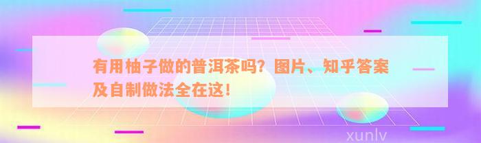 有用柚子做的普洱茶吗？图片、知乎答案及自制做法全在这！