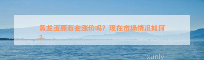 黄龙玉原石会涨价吗？现在市场情况如何？