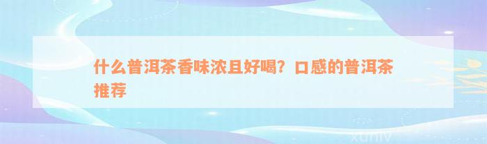 什么普洱茶香味浓且好喝？口感的普洱茶推荐