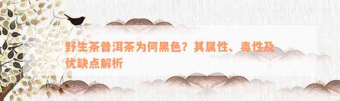 野生茶普洱茶为何黑色？其属性、毒性及优缺点解析