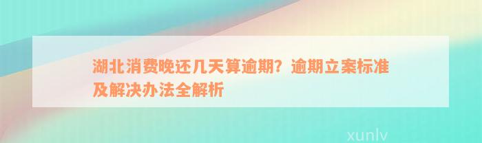 湖北消费晚还几天算逾期？逾期立案标准及解决办法全解析