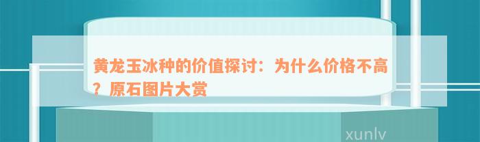 黄龙玉冰种的价值探讨：为什么价格不高？原石图片大赏