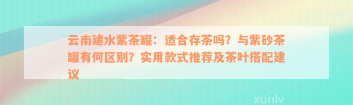 云南建水紫茶罐：适合存茶吗？与紫砂茶罐有何区别？实用款式推荐及茶叶搭配建议