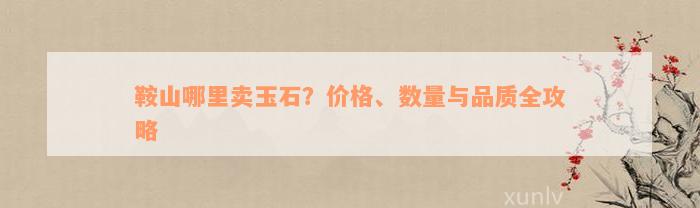 鞍山哪里卖玉石？价格、数量与品质全攻略