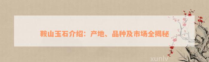 鞍山玉石介绍：产地、品种及市场全揭秘