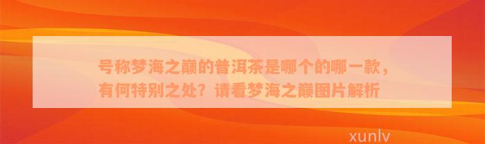 号称梦海之巅的普洱茶是哪个的哪一款，有何特别之处？请看梦海之巅图片解析