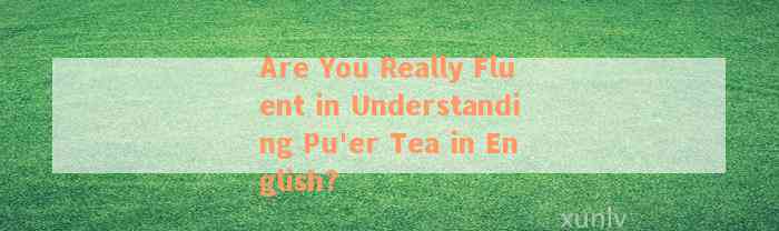 Are You Really Fluent in Understanding Pu'er Tea in English?