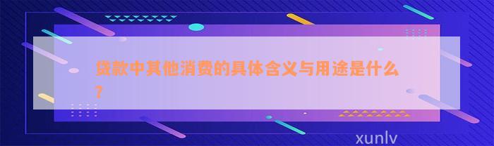 贷款中其他消费的具体含义与用途是什么？