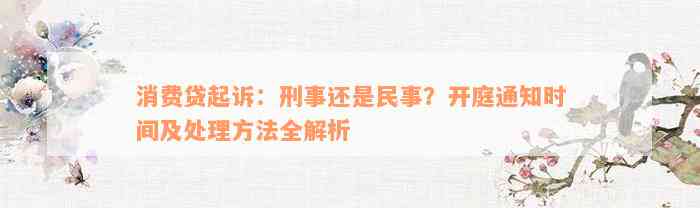 消费贷起诉：刑事还是民事？开庭通知时间及处理方法全解析