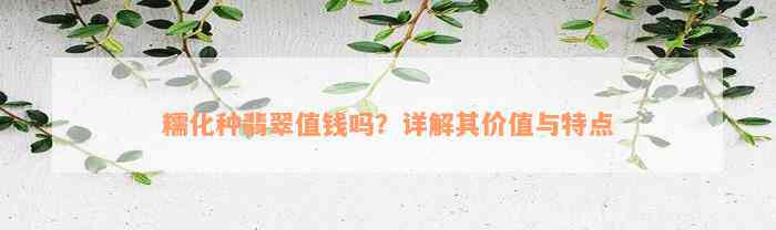 糯化种翡翠值钱吗？详解其价值与特点