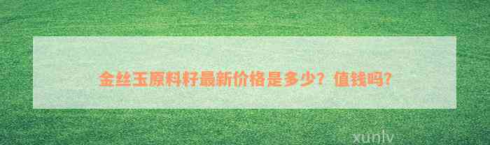 金丝玉原料籽最新价格是多少？值钱吗？