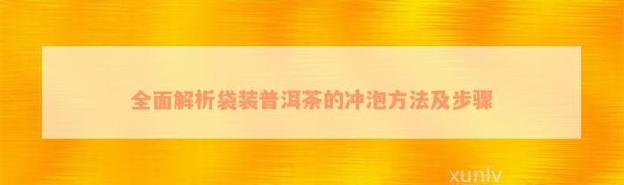 全面解析袋装普洱茶的冲泡方法及步骤