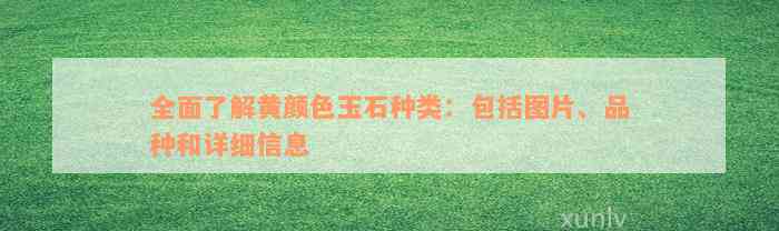 全面了解黄颜色玉石种类：包括图片、品种和详细信息