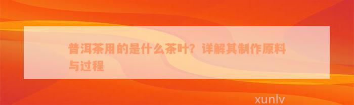 普洱茶用的是什么茶叶？详解其制作原料与过程