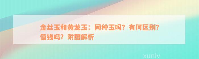 金丝玉和黄龙玉：同种玉吗？有何区别？值钱吗？附图解析