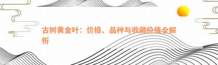 古树黄金叶：价格、品种与收藏价值全解析