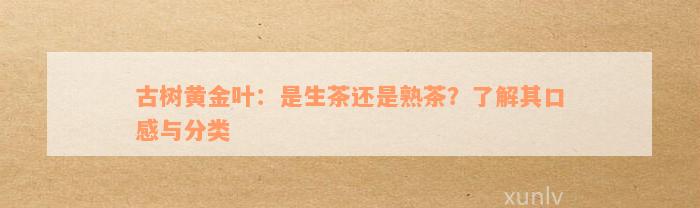 古树黄金叶：是生茶还是熟茶？了解其口感与分类